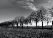 stromoradi-na-Knezice