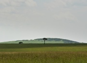 SKO_7705
