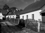 Petrovice