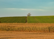 krajinka-u-Priseky